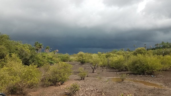 November Gratitude Day&nbsp;#14