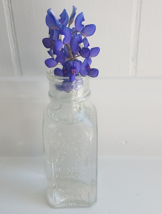 November Gratitude Day&nbsp;#17