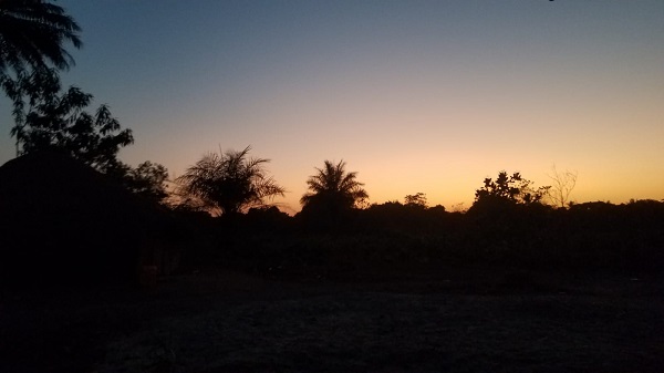 November Gratitude Day&nbsp;#11