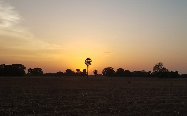 November Gratitude Day&nbsp;#15