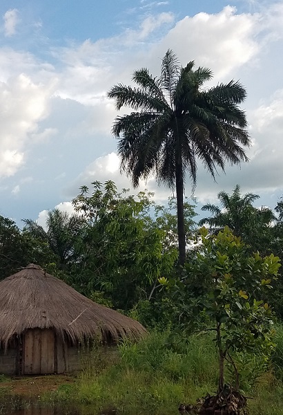 November Gratitude Day&nbsp;#19