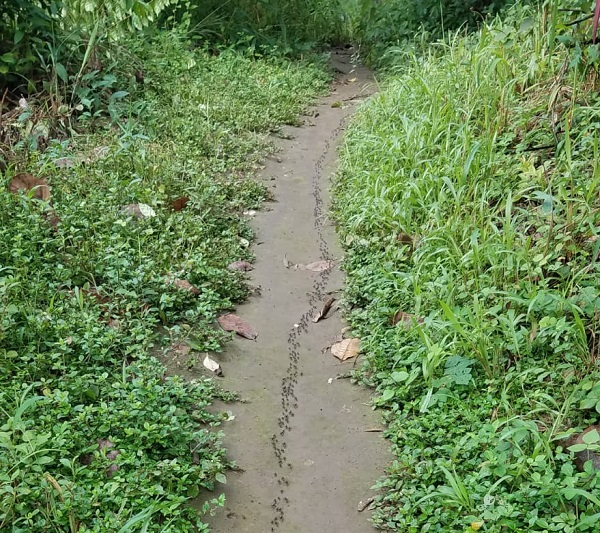 How to Handle Worry&nbsp;Biblically