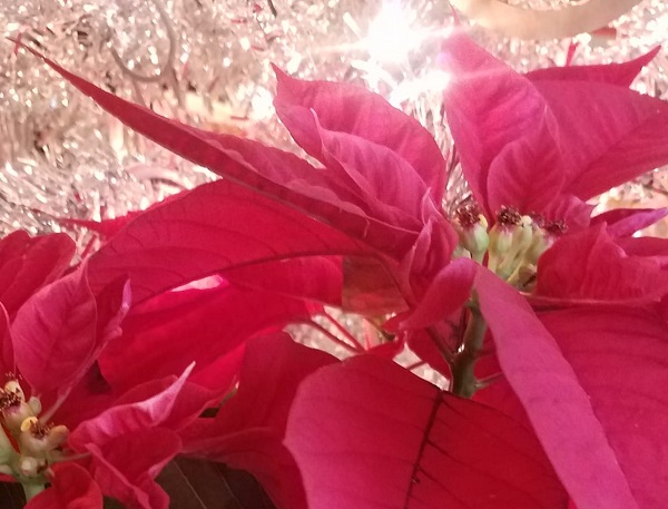 This Has Been Good For&nbsp;Me