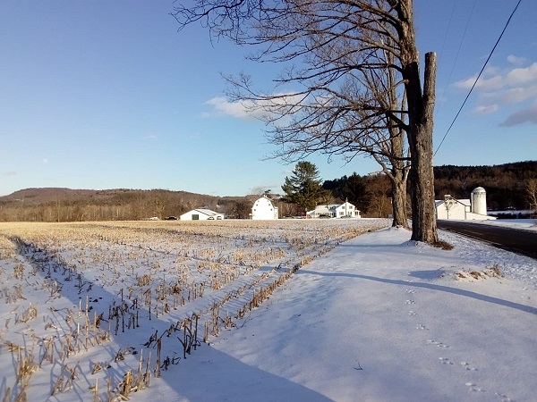 November Gratituded #16