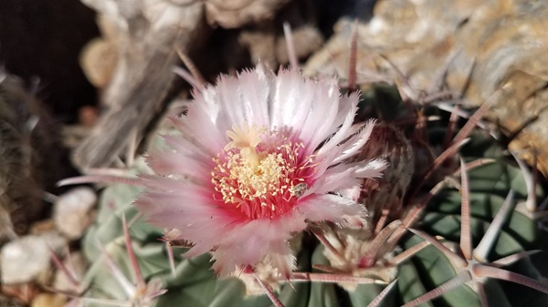 My Lil’ Part Time&nbsp;Job