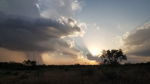 November Gratitude #24