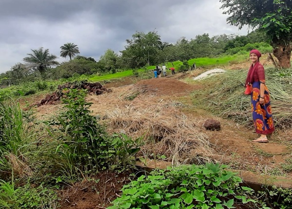 Food, Family, &&nbsp;Feelings