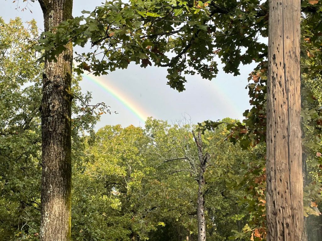 November Gratitude #23