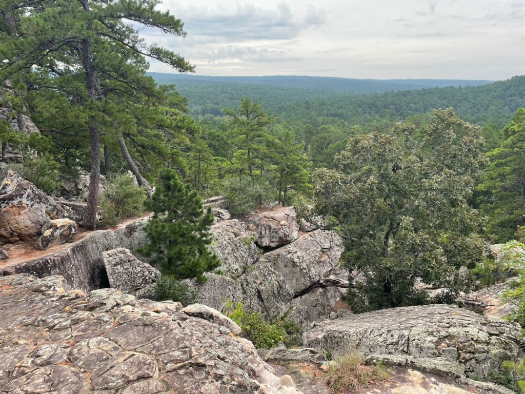 November Gratitude #21