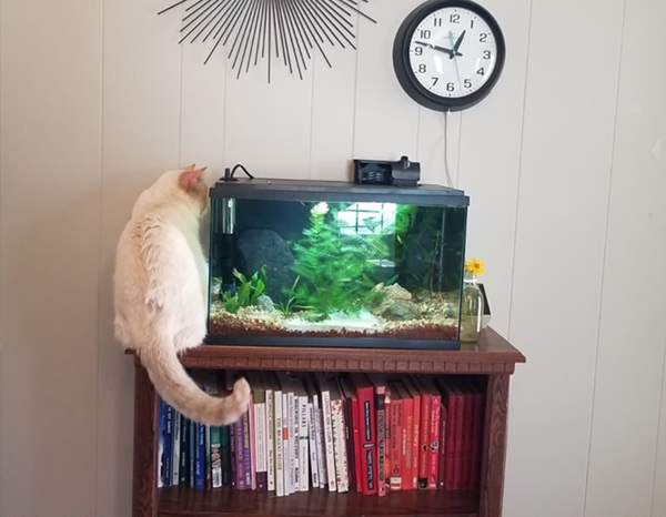 November Gratitude #25