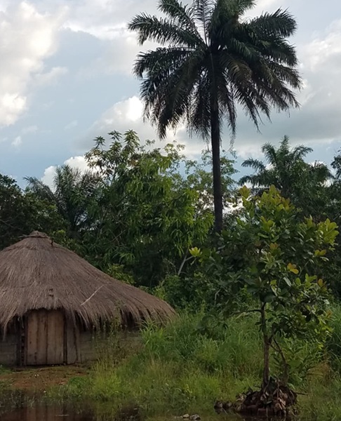 November Gratituded #8