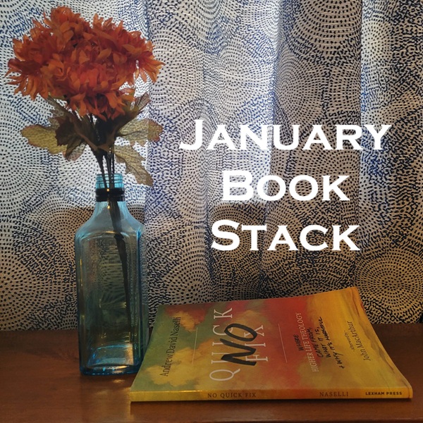 January Book Stack
