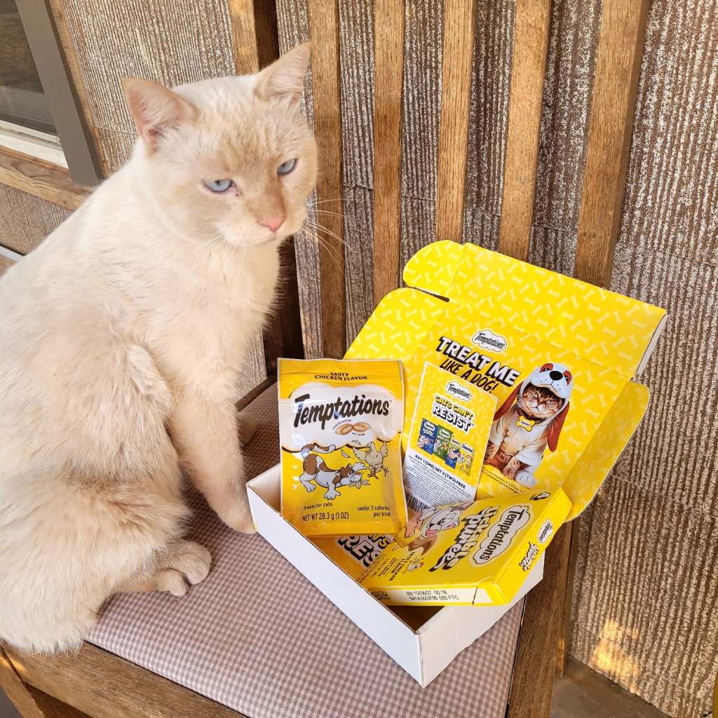 Frugal Four – A Package for&nbsp;Nacho